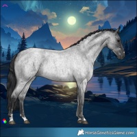 Horse Color:Blue Roan 