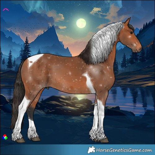 Horse Color:Bay Tobiano 