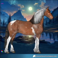 Horse Color:Bay Tobiano 