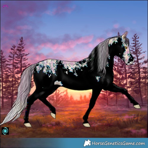 Horse Color:Plaid  White Spotted Amber Champagne 