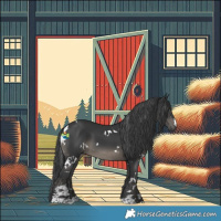 Horse Color:White Spotted Black