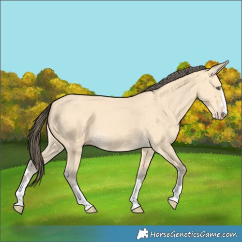 Horse Color:Amber Cream Champagne