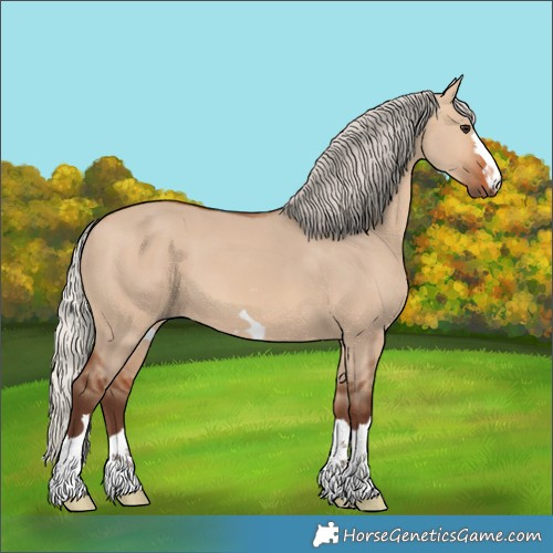 Horse Color:Silver Bay Dun
