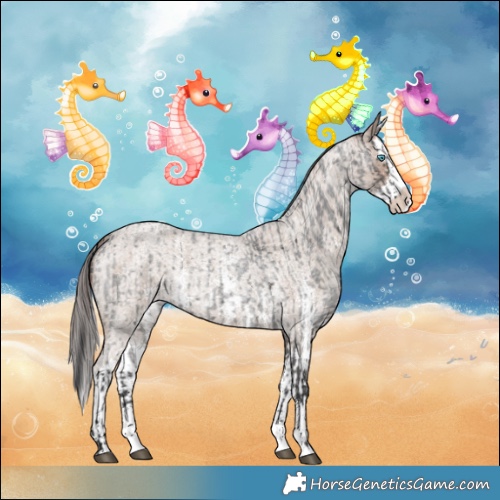 Horse Color:Blue Roan Sabino Splash  and Classic Champagne Roan Sabino Splash 