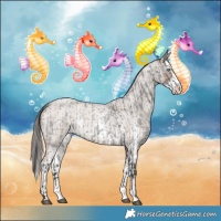 Horse Color:Blue Roan Sabino Splash  and Classic Champagne Roan Sabino Splash 