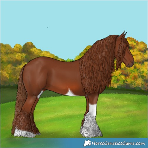 Horse Color:Chestnut Tobiano 