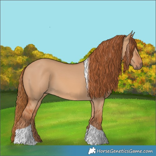 Horse Color:Red Dun Tobiano