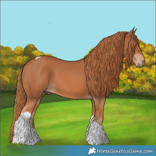 Horse Color:Chestnut Tobiano 