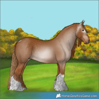 Horse Color:Gray Chestnut Tobiano 