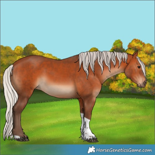 Horse Color:Silver Bay Tobiano