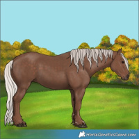 Horse Color:Silver Black