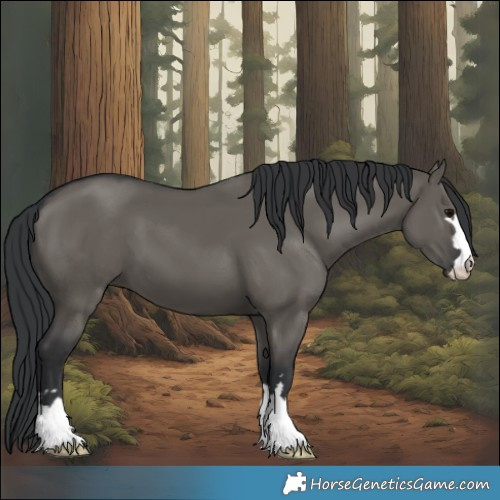 Horse Color:Grullo