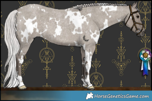 Horse Color:Platinum White Spotted Silver Grullo Roan 