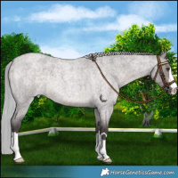 Horse Color:Platinum Silver Brown Roan Dun
