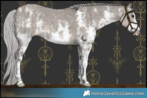 Horse Color:Platinum Silver Smoky Grullo Sabino 