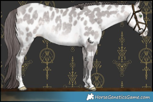 Horse Color:Platinum Sable Cream Champagne Near Leopard 