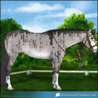 Horse Color:Platinum Bay Dun Brindle 