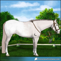 Horse Color:Platinum Bay Pearl Dun Snowcap Brindle 