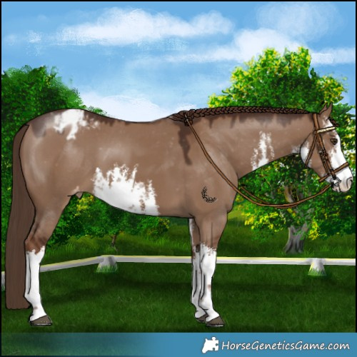 Horse Color:White Spotted Liver Red Dun Varnish 