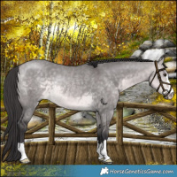 Horse Color:Platinum Buckskin Dun Rabicano
