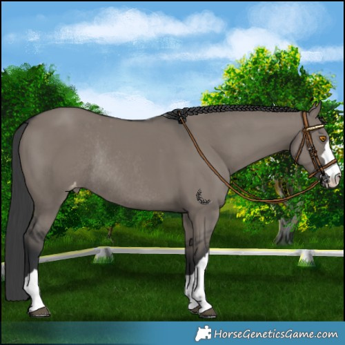 Horse Color:Platinum Grullo Varnish Rabicano 