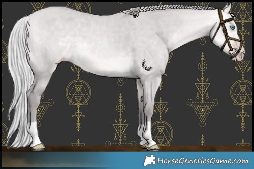 Horse Color:Platinum Silver Amber Cream Champagne Dun 