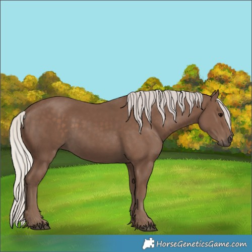 Horse Color:Silver Black 
