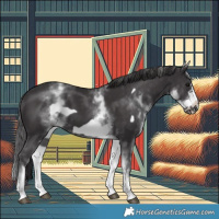 Horse Color:White Spotted Smoky Black Frame 