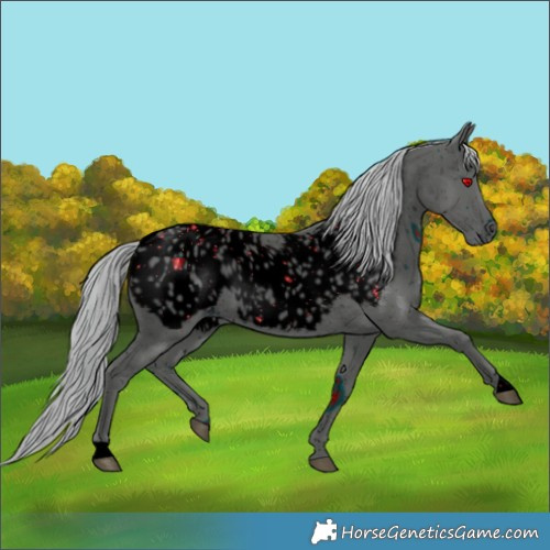 Horse Color:ERROR: UNKNOWN ANOMALY