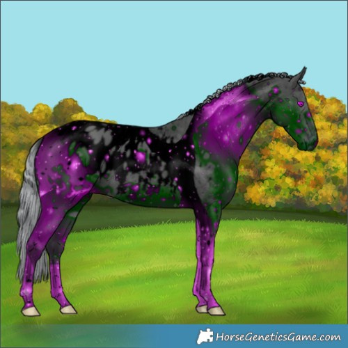 Horse Color:ERROR: UNKNOWN ANOMALY