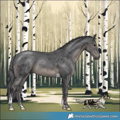 Horse Color:Black Merle Tobiano 
