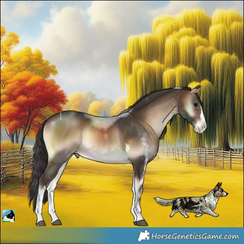 Horse Color:White Spotted Brown Onyx Splash Tobiano Rabicano 
