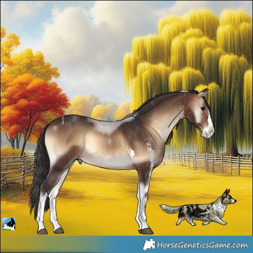Horse Color:White Spotted Brown Onyx Splash Tobiano Rabicano 