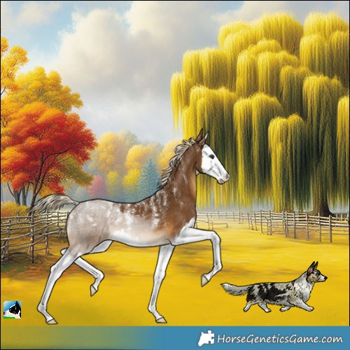 Horse Color:Powder White White Spotted Chocolate Palomino Splash