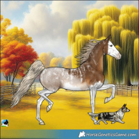 Horse Color:Powder White White Spotted Chocolate Palomino Splash