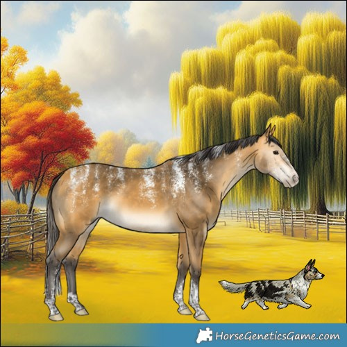 Horse Color:Powder White Buckskin