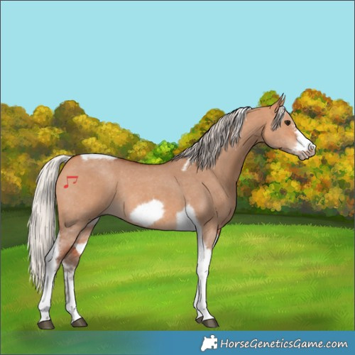 Horse Color:Silver Bay Dun Sabino Tobiano Frame Rabicano 