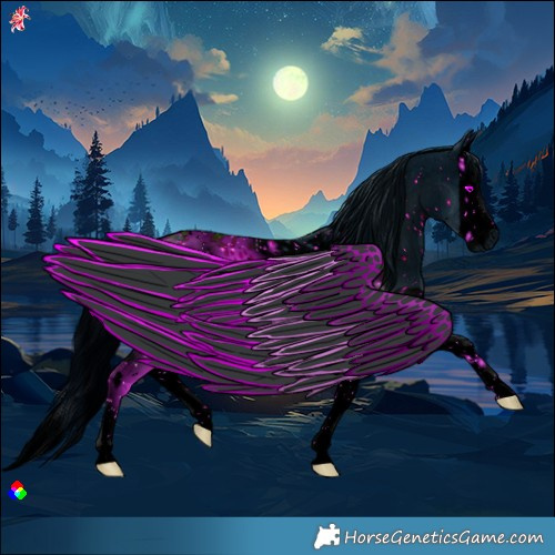 Horse Color:ERROR: UNKNOWN ANOMALY