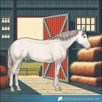 Horse Color:Perlino Dun Tobiano 