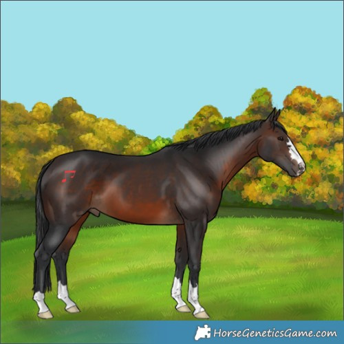 Horse Color:Brown 
