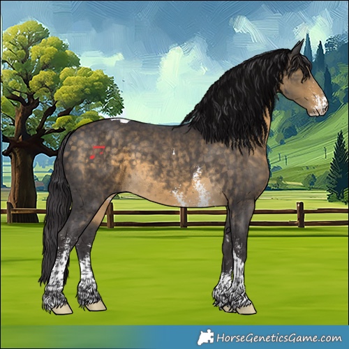 Horse Color:Buckskin Sabino Tobiano 
