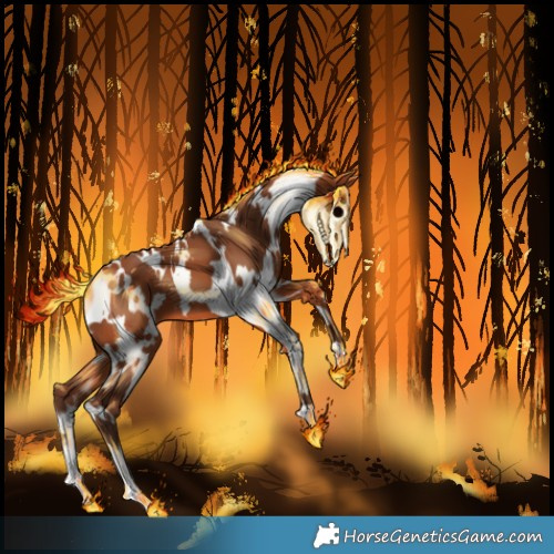 Horse Color:White Spotted Silver Bay 