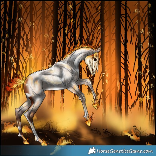 Horse Color:White Spotted Silver Bay Roan Dun 