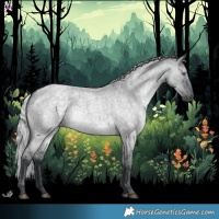 Horse Color:Silver Grullo Chinchilla Roan 