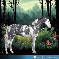 Horse Color:White Spotted Silver Black Chinchilla Splash 