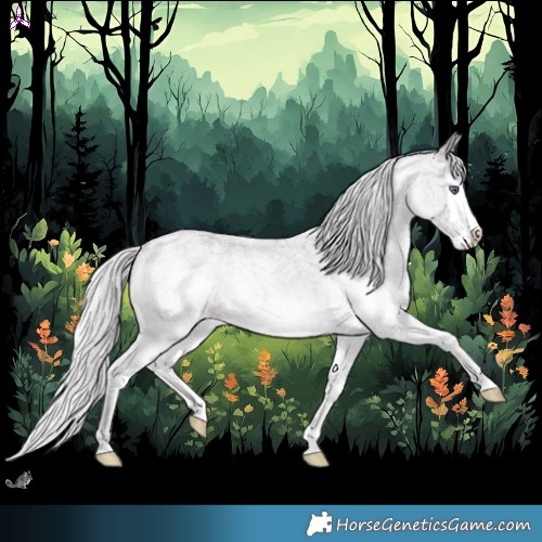 Horse Color:White Spotted Silver Brown Chinchilla Roan Splash Rabicano 