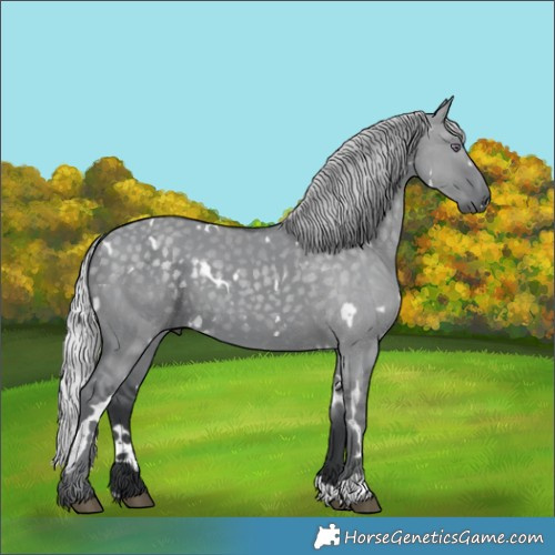 Horse Color:White Spotted Silver Grullo Chinchilla 