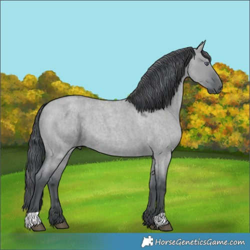 Horse Color:Grullo Chinchilla Roan Merle 