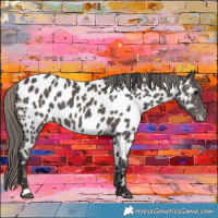 Horse Color:Smoky Black Near Leopard