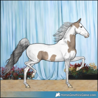 Horse Color:Brown Dun Splash Tobiano 
